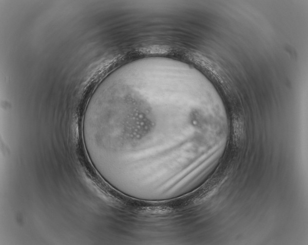 X0000090600541200708071145