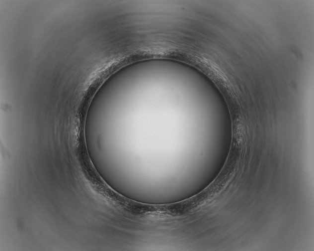 X0000090600544200708071145