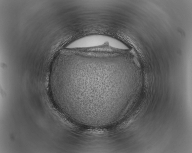 X0000090600545200708071145