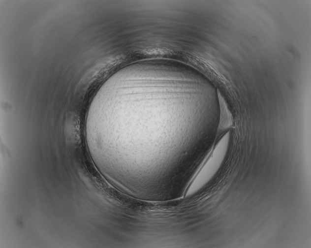 X0000090600547200708071145