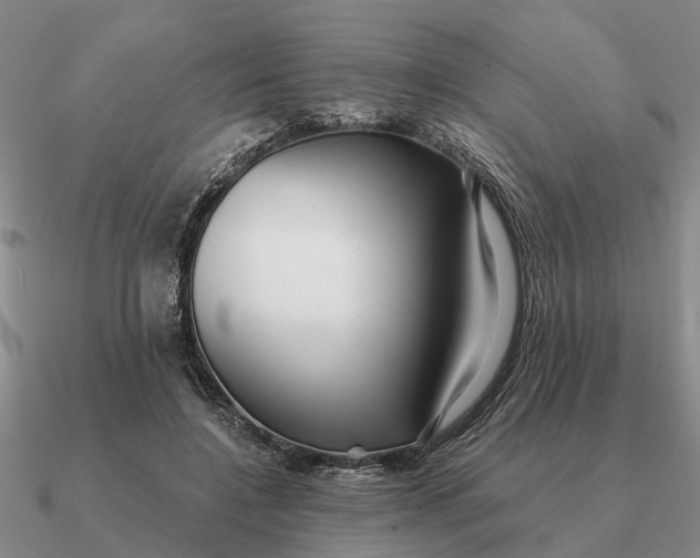 X0000090600548200708071145