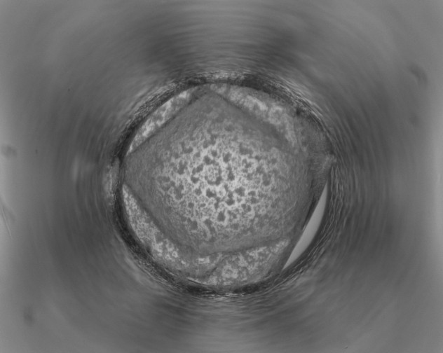 X0000090600550200708071145