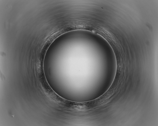 X0000090600552200708071145