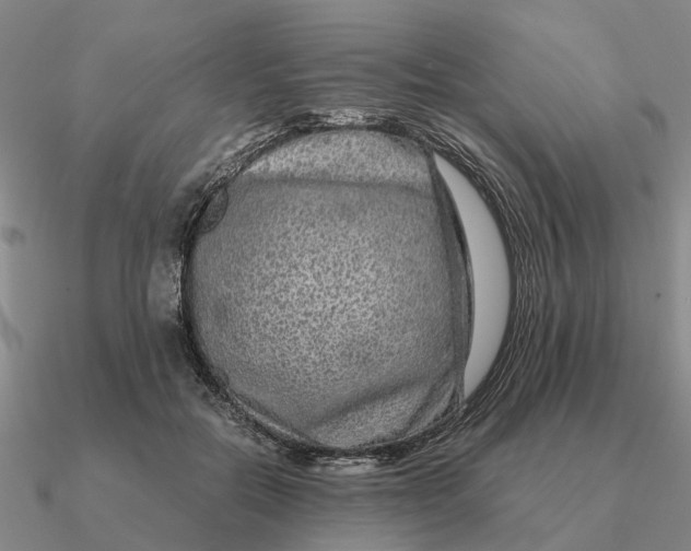 X0000090600554200708071145