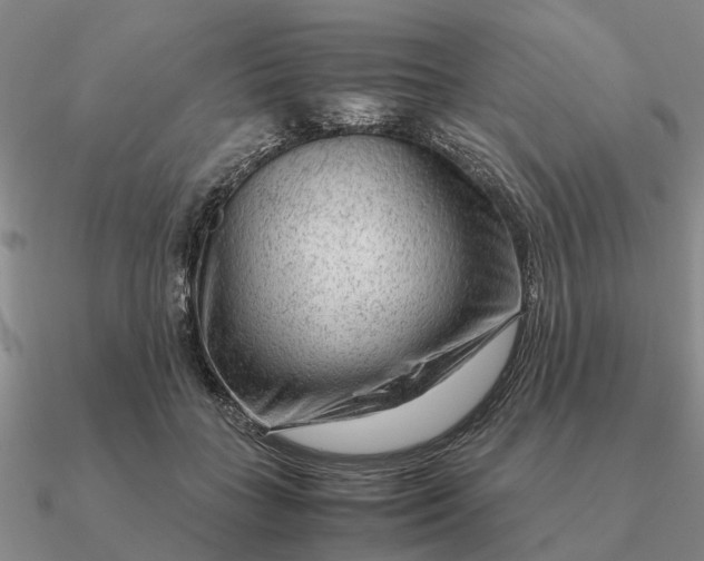 X0000090600555200708071145