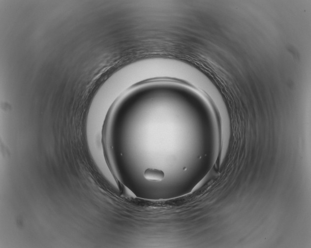 X0000090600556200708071145