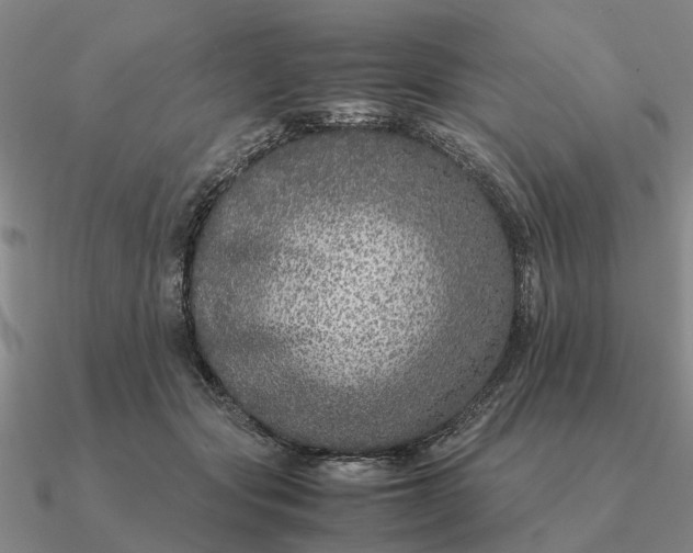 X0000090600557200708071145