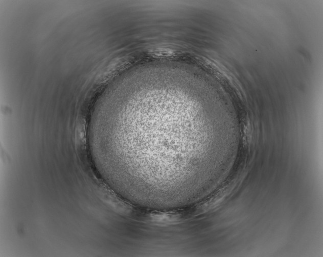 X0000090600561200708071145