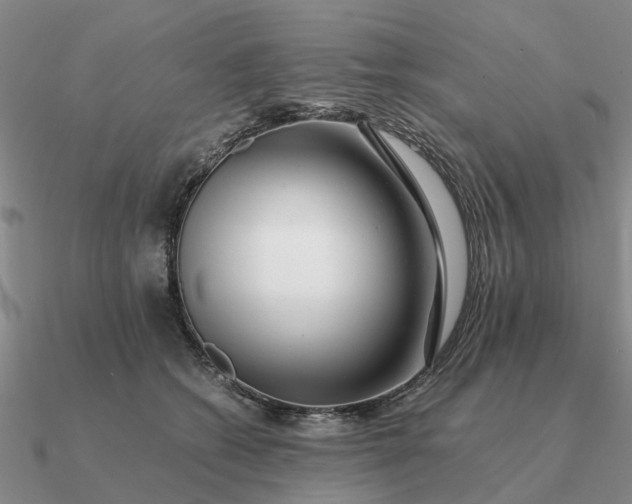 X0000090600562200708071145