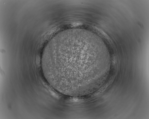 X0000090600565200708071145