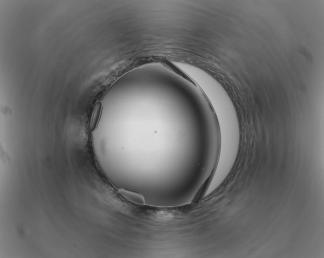 X0000090600566200708071145