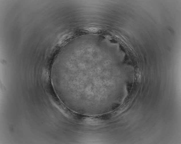 X0000090600568200708071145