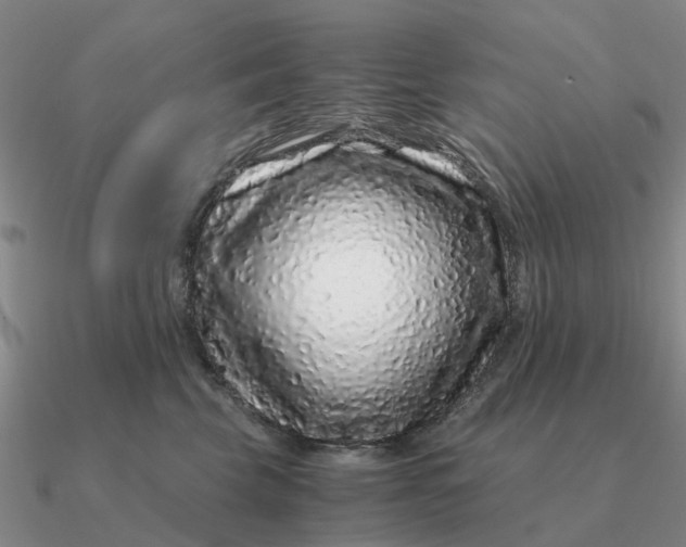 X0000090600569200708071145