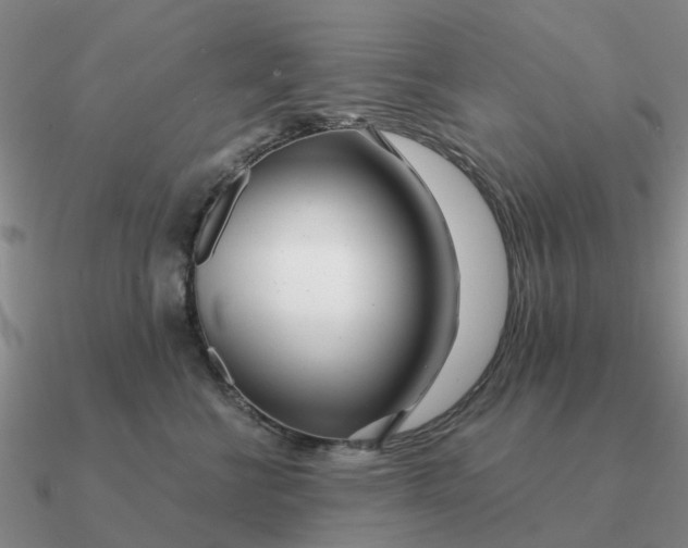 X0000090600570200708071145