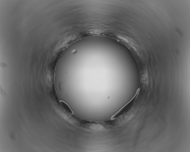 X0000090600572200708071145