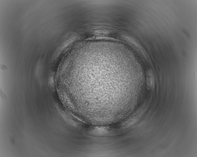 X0000090600573200708071145