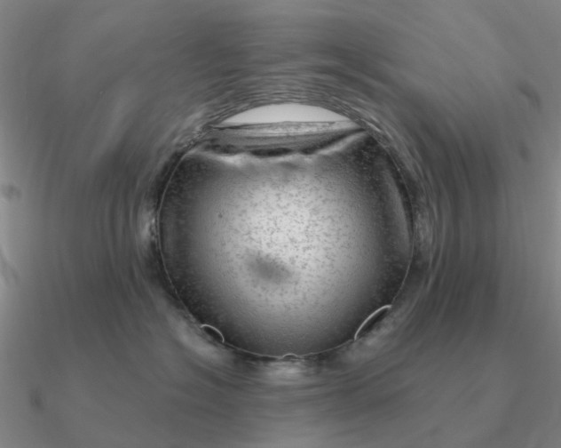 X0000090600574200708071145