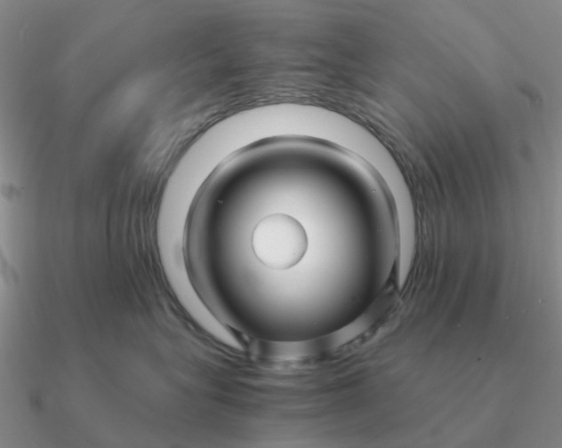 X0000090600575200708071145