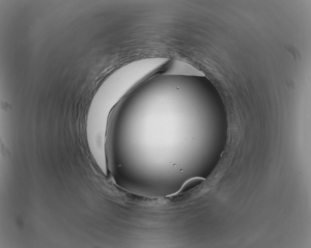 X0000090600576200708071145