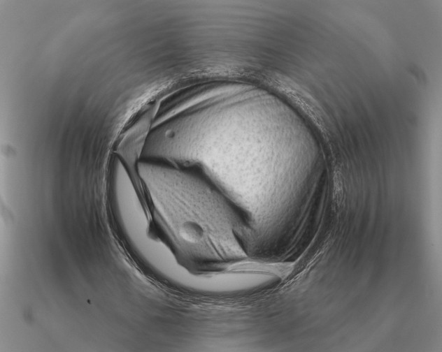 X0000090600578200708071144