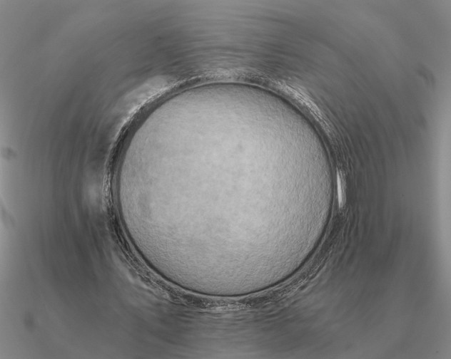 X0000090600579200708071144