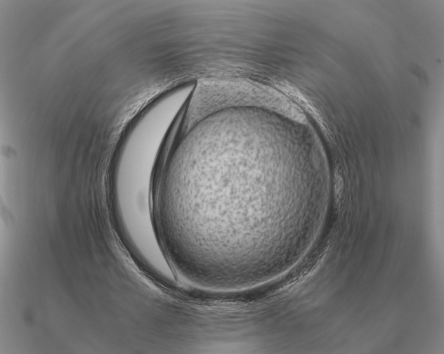 X0000090600581200708071144