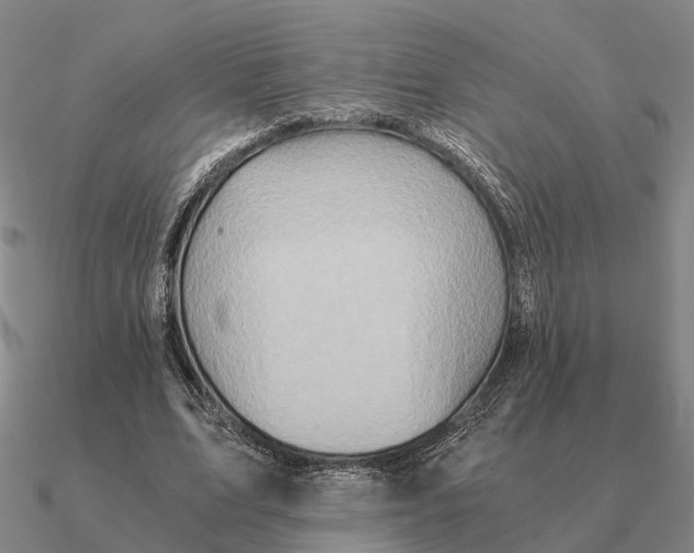 X0000090600583200708071144