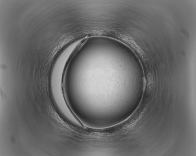 X0000090600585200708071144