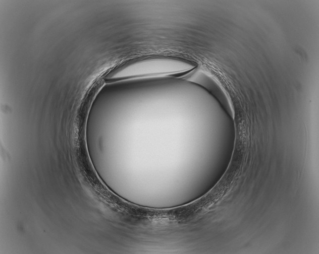 X0000090600587200708071144