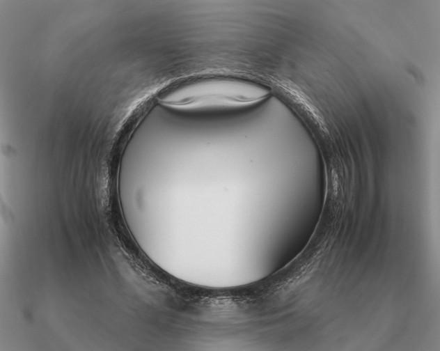 X0000090600588200708071144