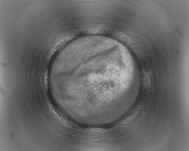 X0000090600590200708071144