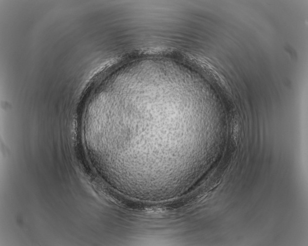 X0000090600591200708071144