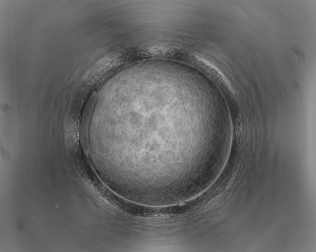 X0000090600593200708071144