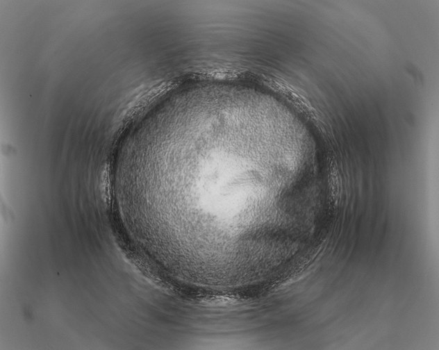 X0000090600594200708071144