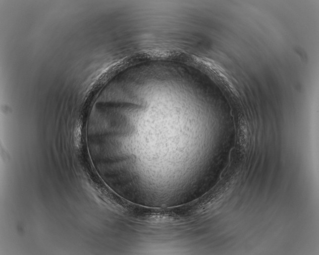 X0000090600596200708071144