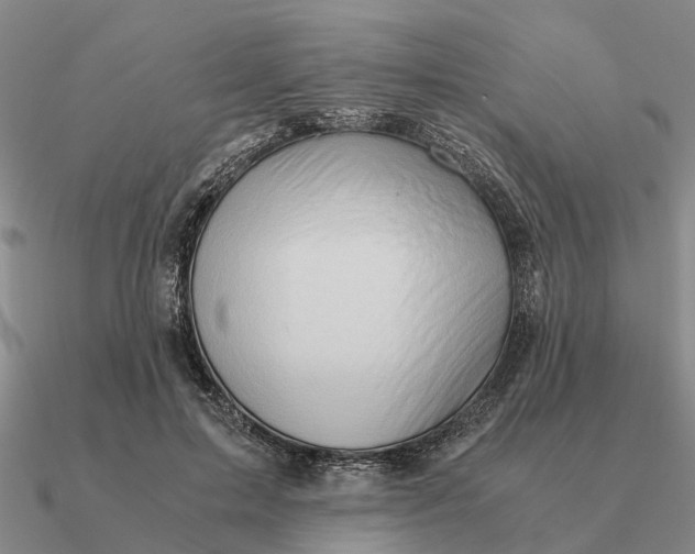 X0000090600599200708071144