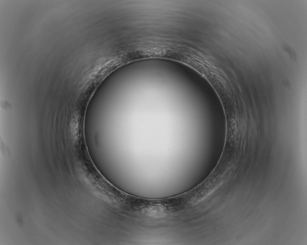 X0000090600600200708071144