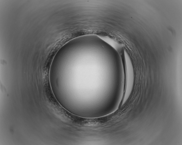 X0000090600601200708071144