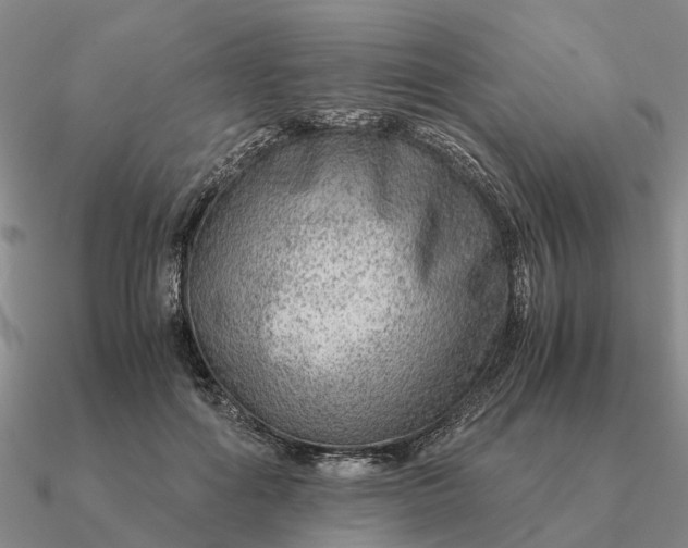 X0000090600602200708071144