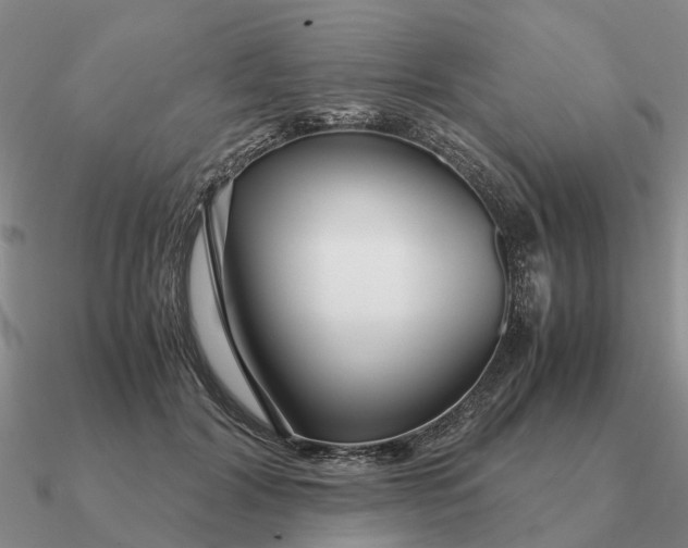 X0000090600604200708071144