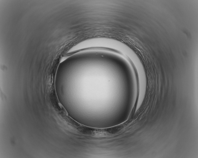 X0000090600605200708071144