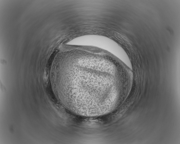 X0000090600607200708071144