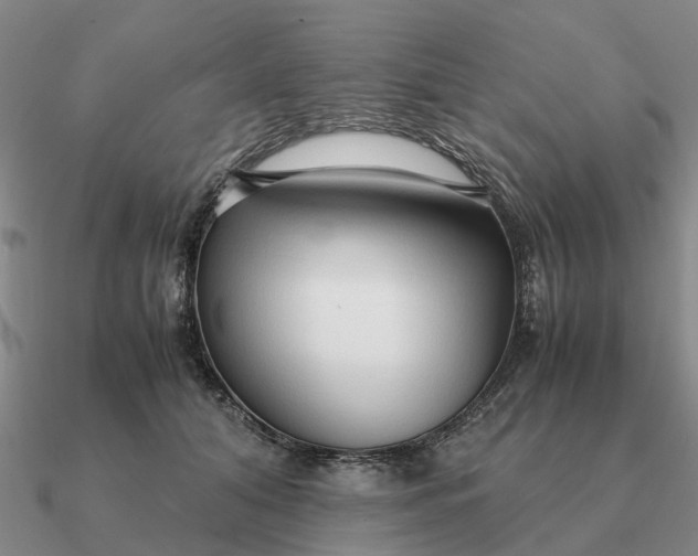 X0000090600608200708071144