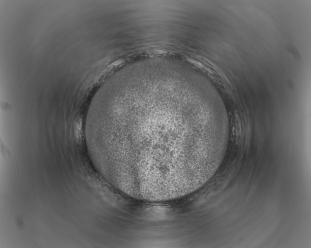 X0000090600610200708071144