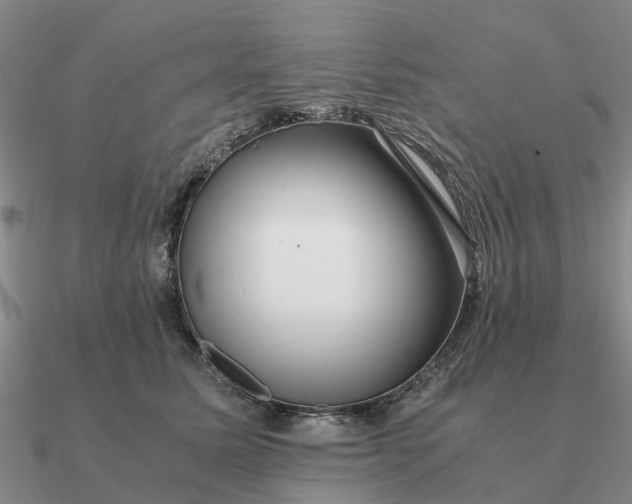 X0000090600611200708071144