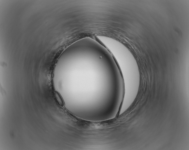 X0000090600613200708071144