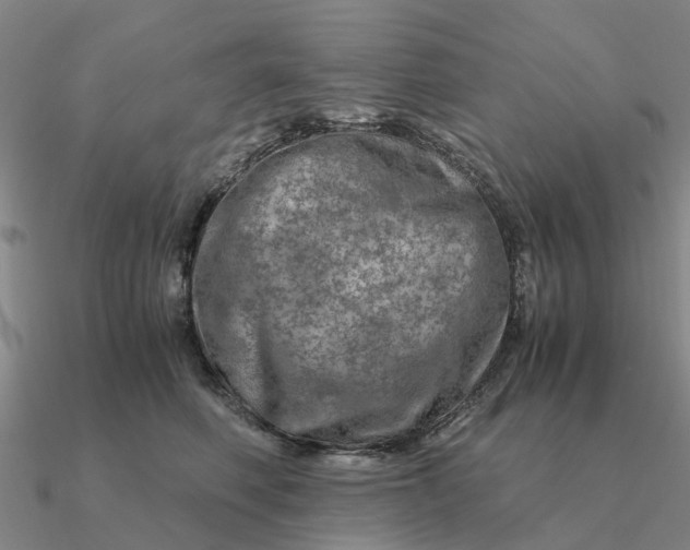 X0000090600614200708071144