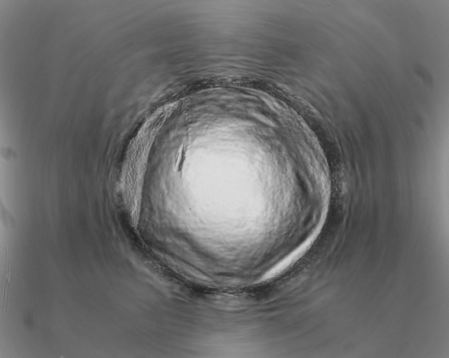 X0000090600615200708071144