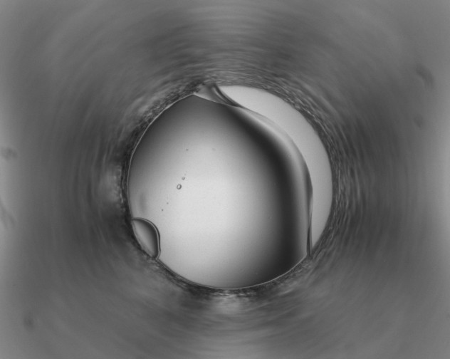 X0000090600616200708071144