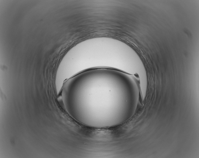 X0000090600617200708071144